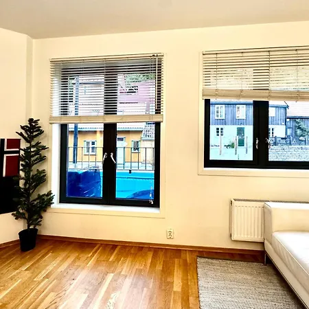 Window To The Iconic Old Street With Lift And Free Parking * Oslo